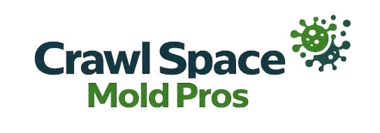 Crawl Space Mold Pros